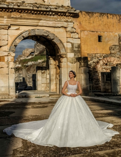 Crystal wedding dress